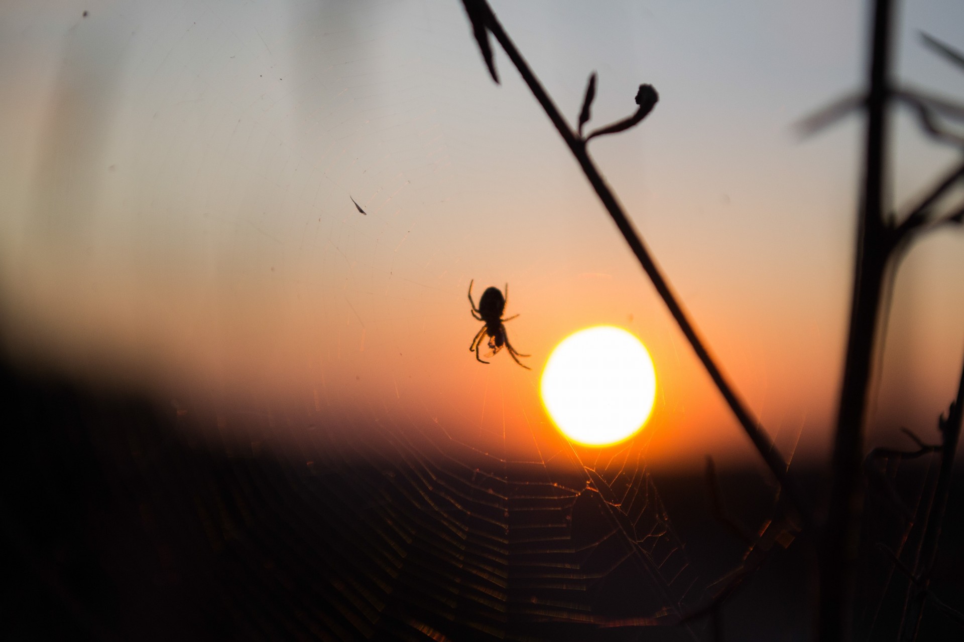 soleil coucher de soleil nature