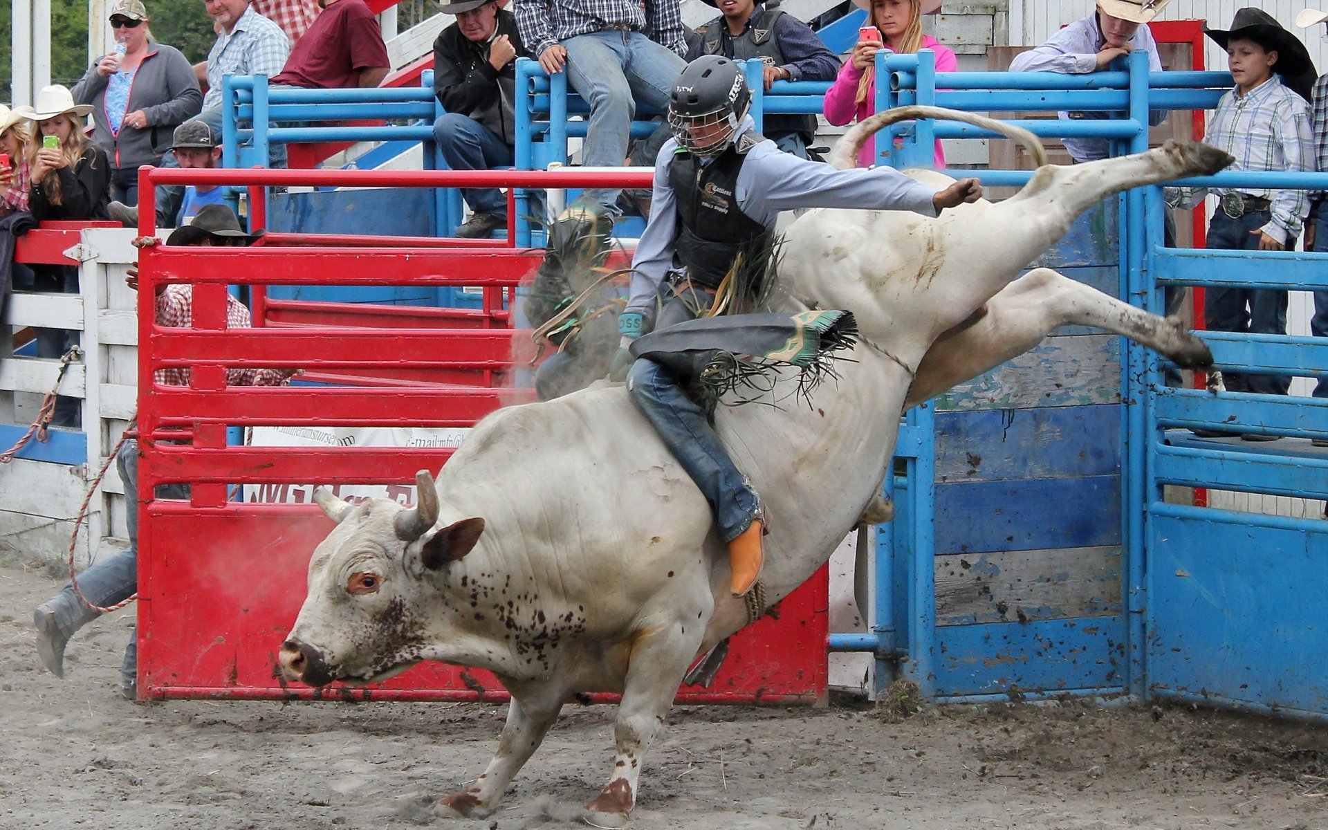 małe miasto rodeo sport byk