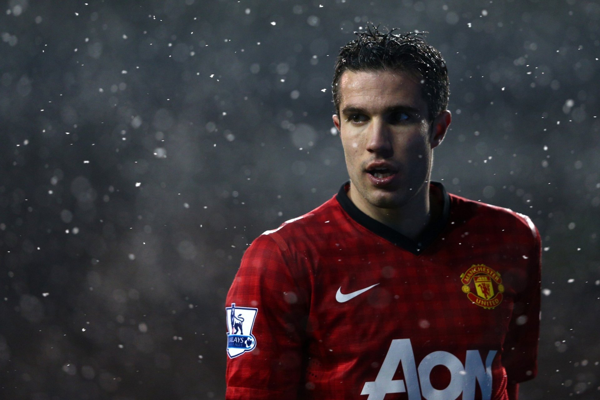 robin van persie manchester united calcio