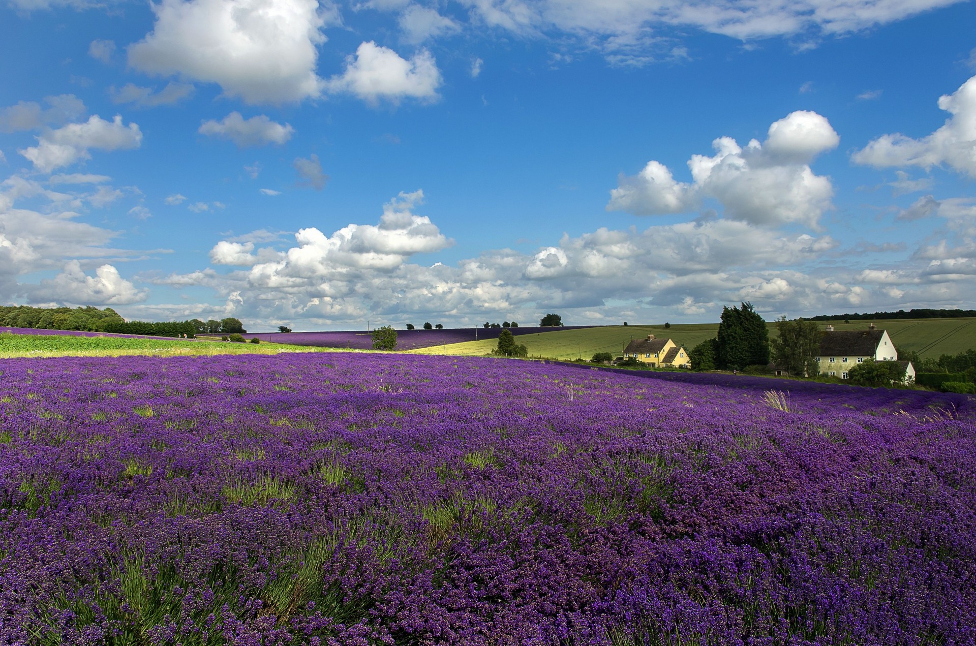 landschaft toskana wolken blumen himmel häuser