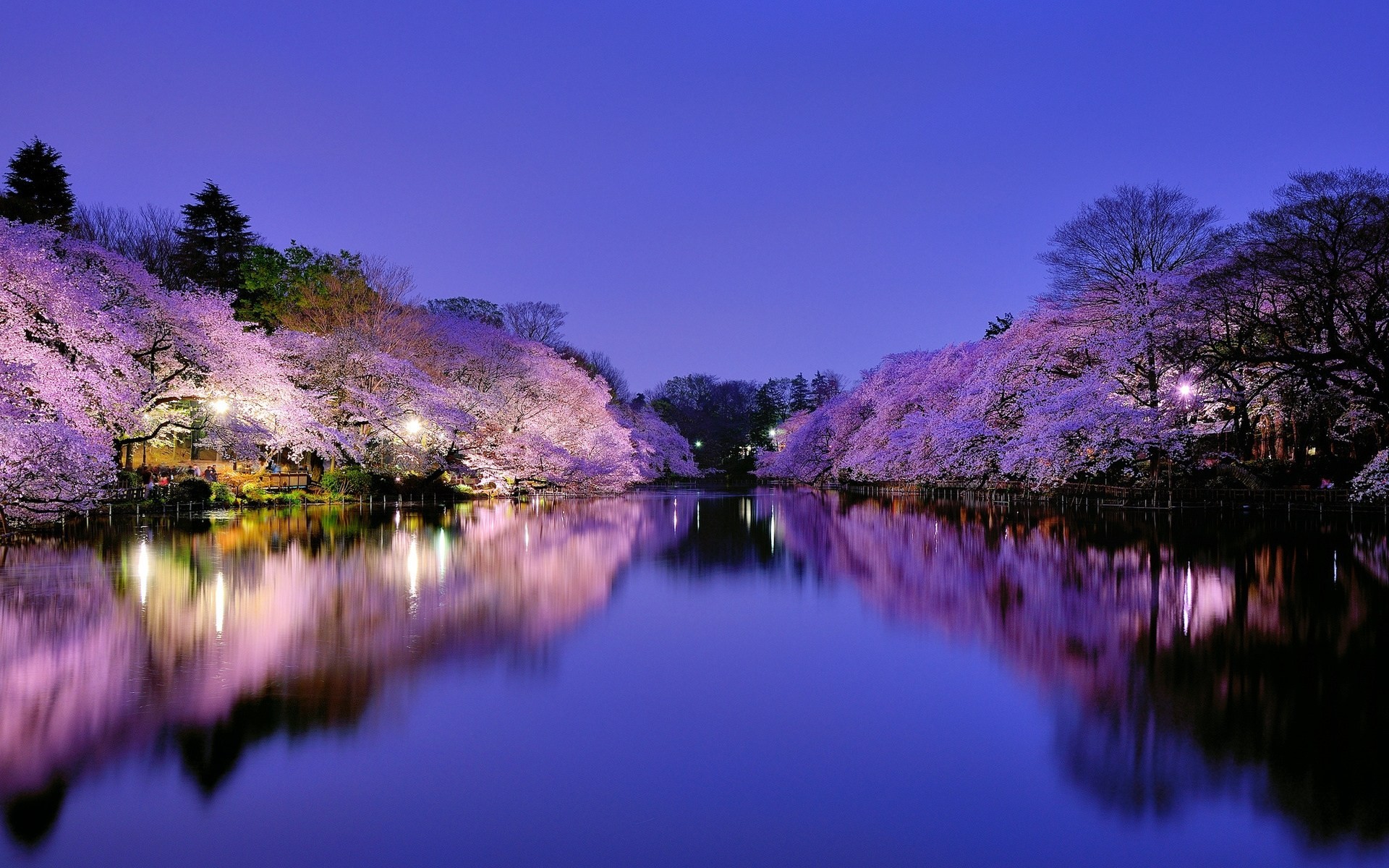 jezioro tokio miasto reflektory park osaka oświetlenie