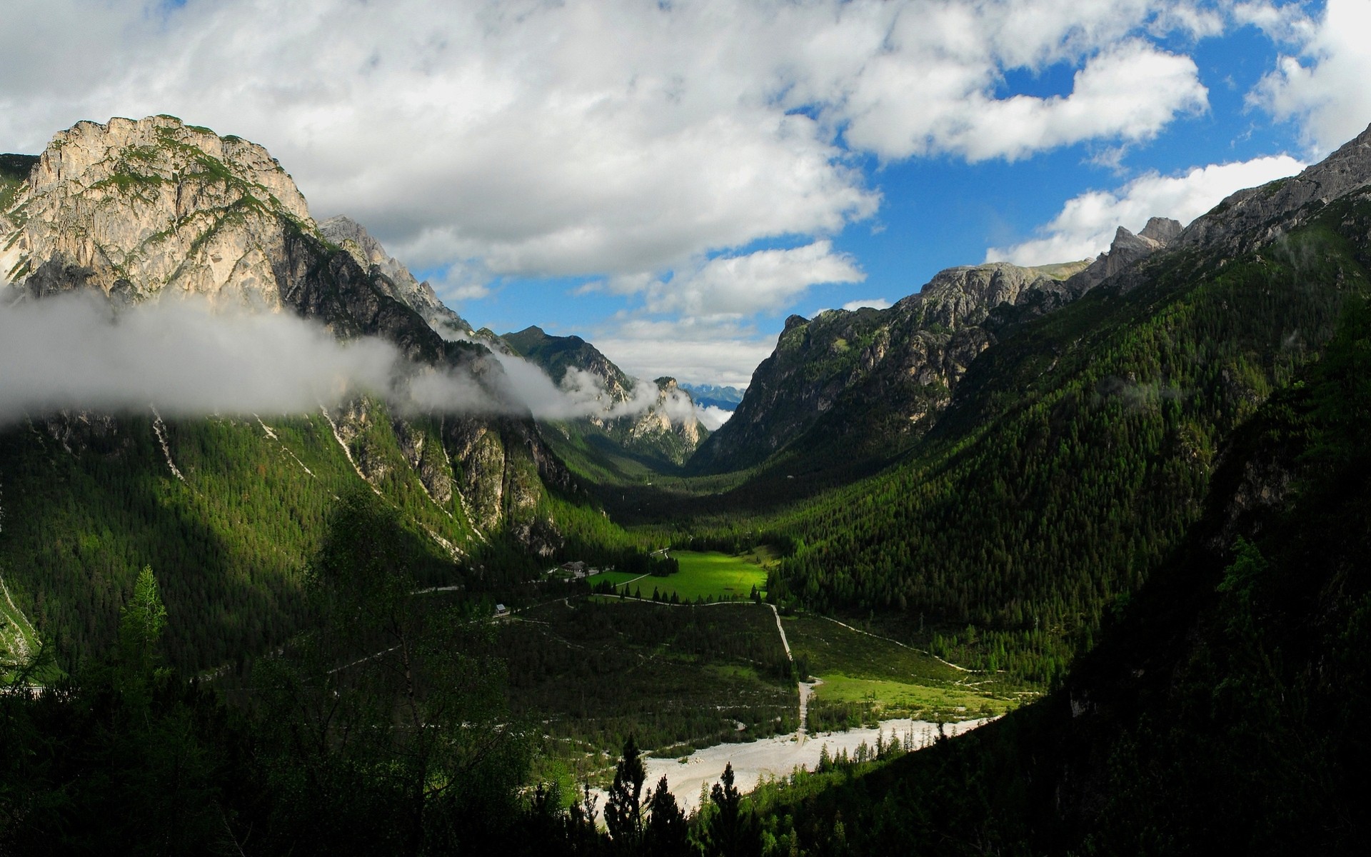 berge wald menschen grün natur