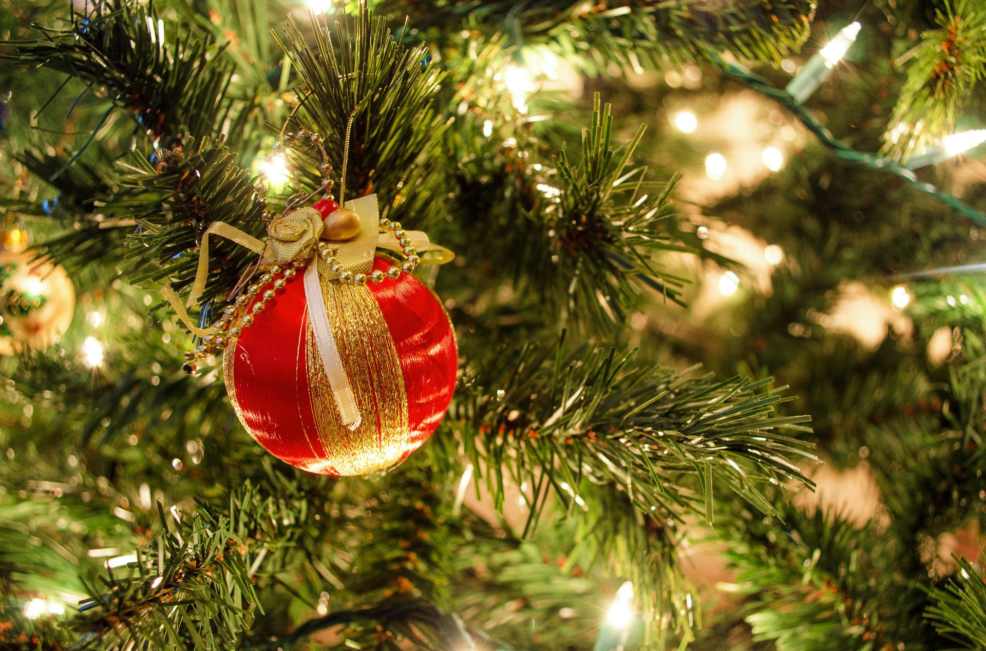 bola guirnalda árbol de navidad año nuevo rojo ramas