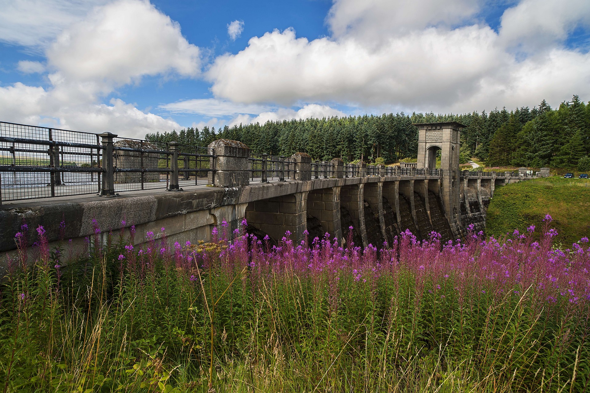 paysage pont fleurs nuages royaume-uni snowdonia