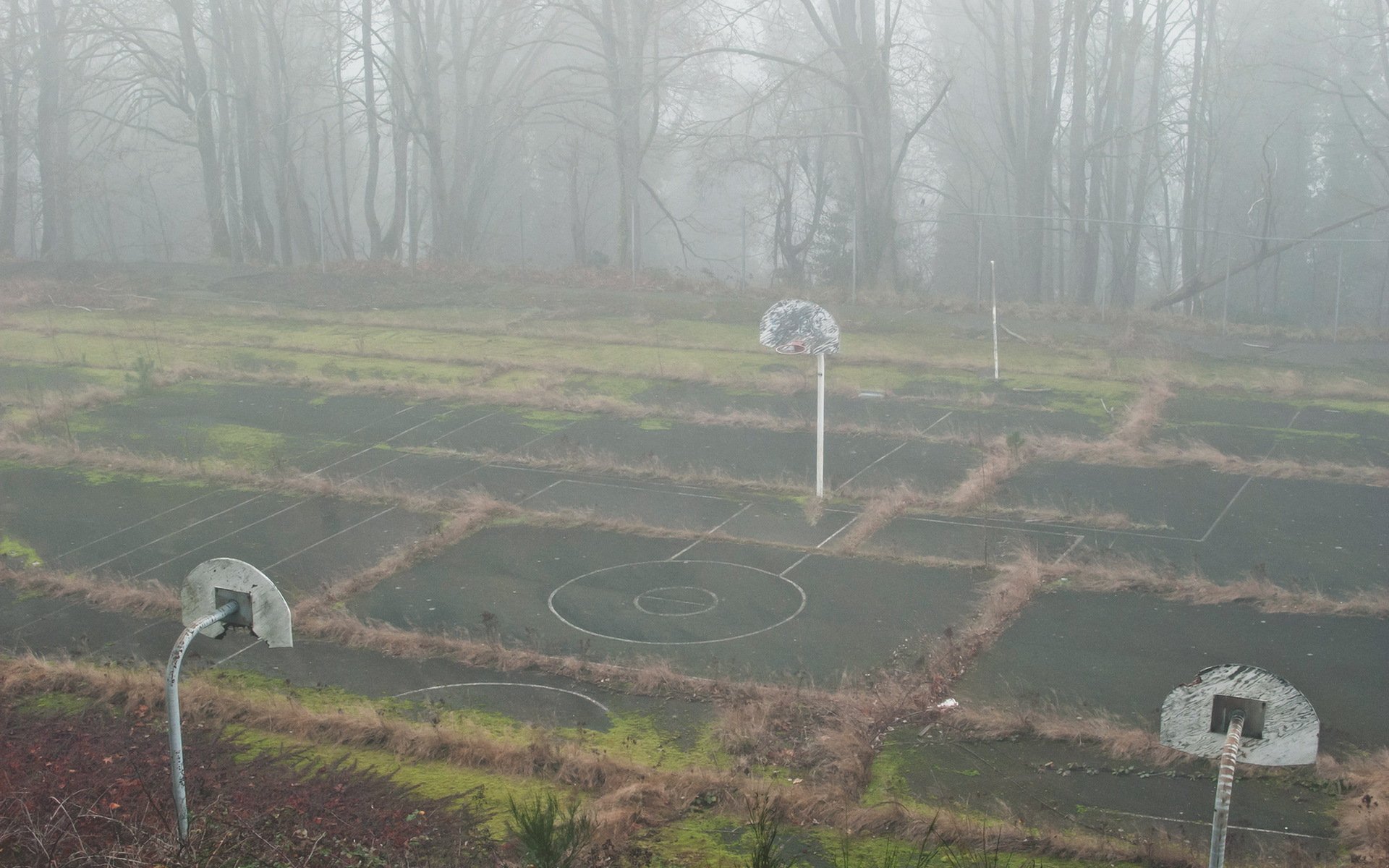 parque infantil niebla deportes