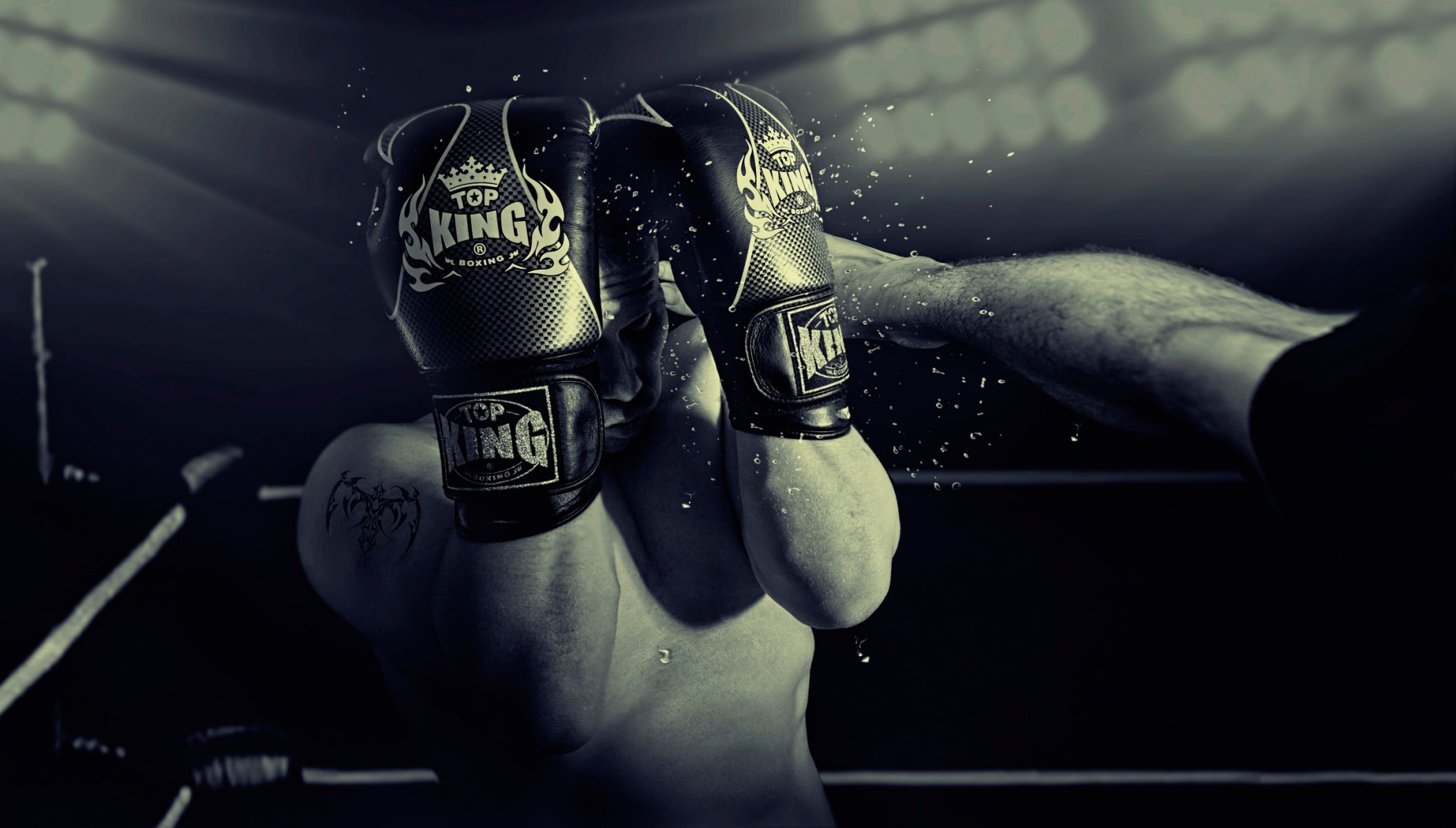 fighter gloves ring power strike