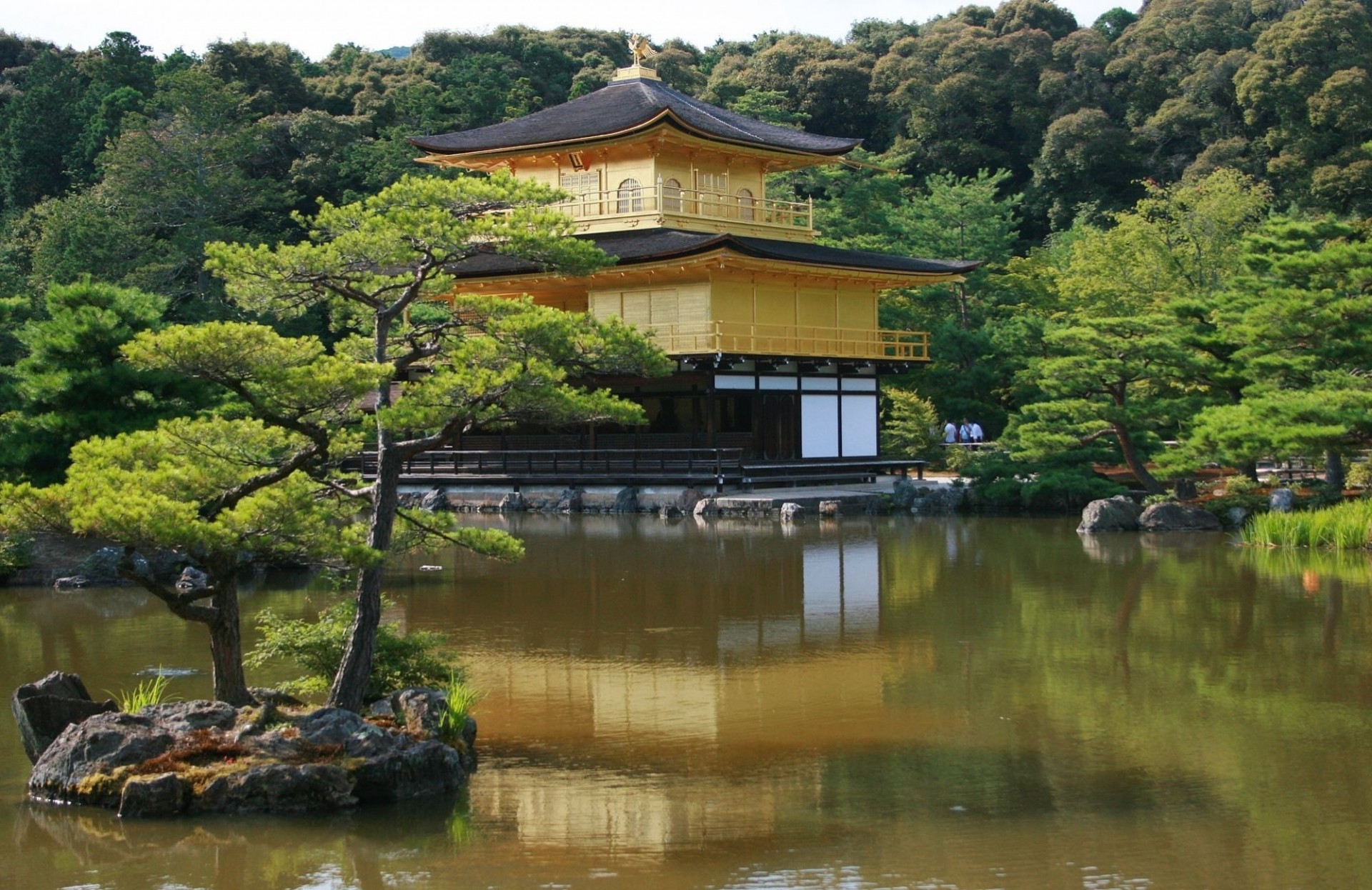 temple forêt rivière tokyo étang lac