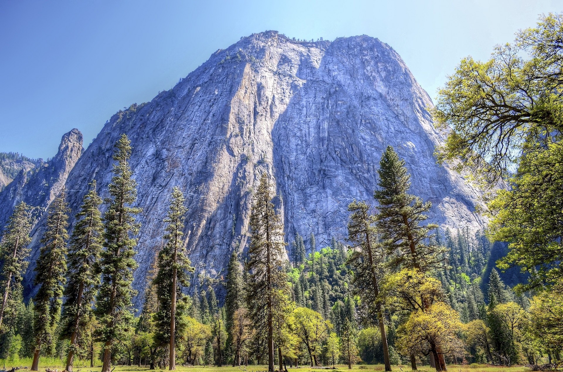 stati uniti parco nazionale di yosemite