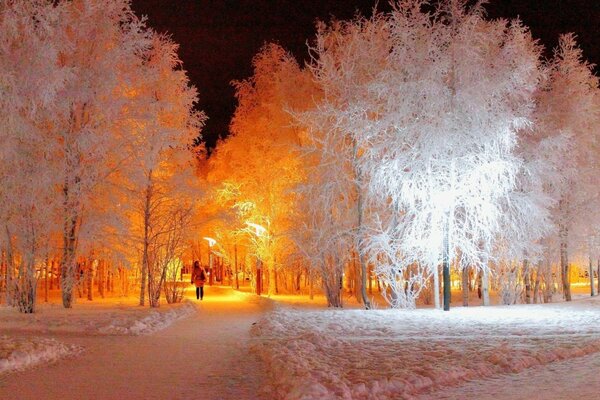 Зимний парк в вечернее время