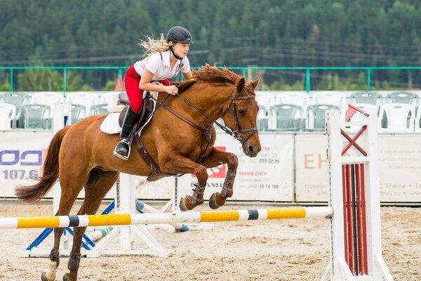 Sportswoman girl on horseback through obstacles