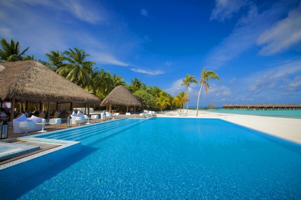 Palmeras y cabañas cerca de la piscina