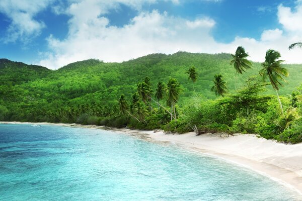 Tropischer Strand, blaue Lagune