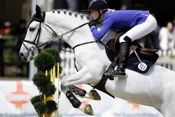 Girl rider on a white horse