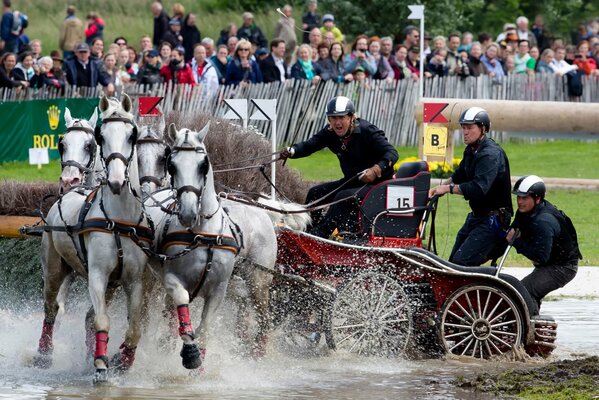 Horse sledding competition. equestrian sports