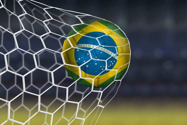 Brasil Fifi anotó un gol