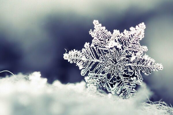 Photo d un beau flocon de neige sculpté