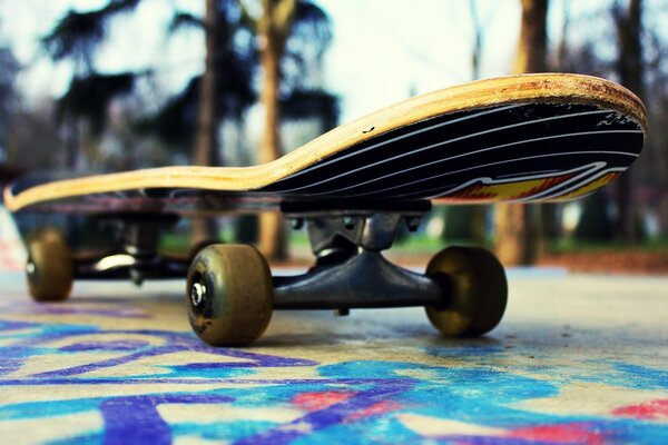 Planche à roulettes dans le parc macro