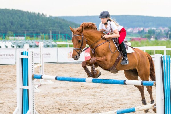 Sports équestres avec la jeune fille