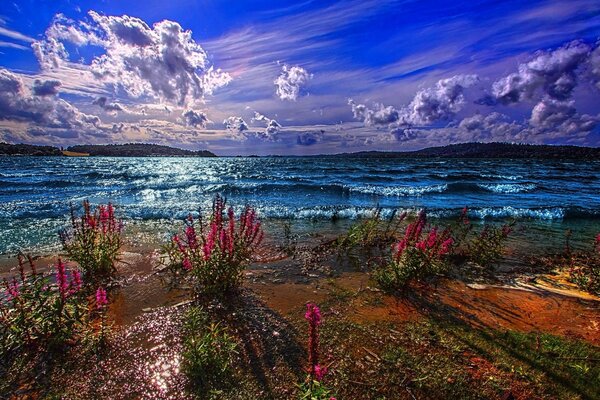 Helle Landschaft mit Blumen auf dem Hintergrund der Wellen