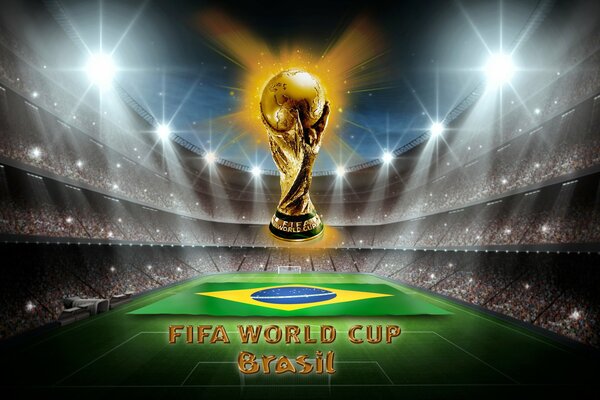Кубок мира по футболу 2014