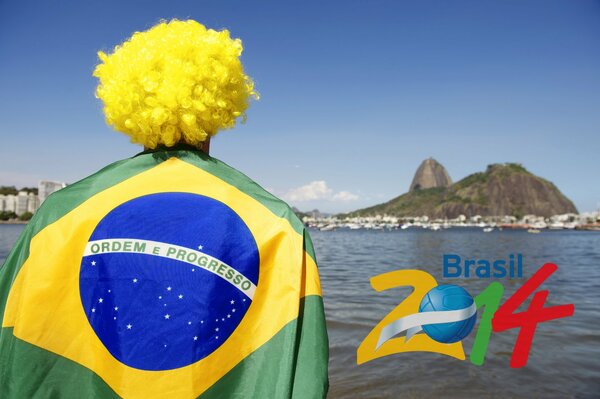 Fußball in Brasilien fifa-Fan von hinten mit Logo