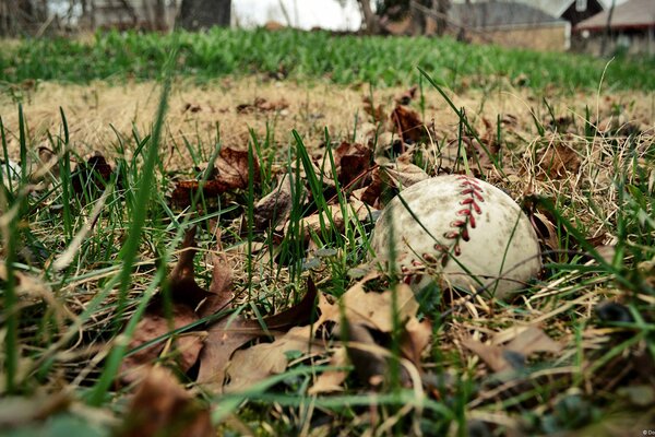 Una palla da baseball giace sul campo