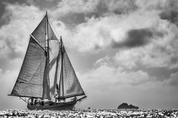 Foto schwarz weiß Yacht Meer Regatta Segel