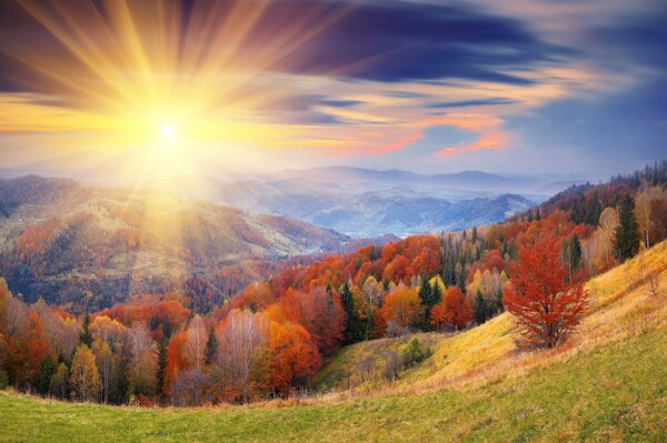 Il sole illumina le colline e le cime degli alberi con un consiglio caldo, il cielo diventa più scuro