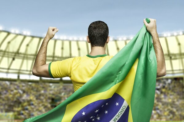 Footballer of the Brazilian team, World Cup 2014