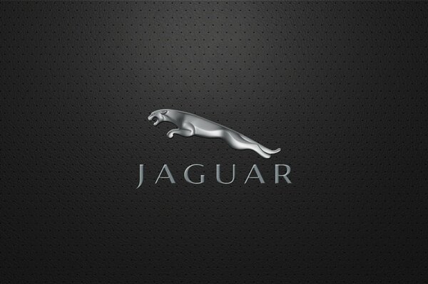 Jaguar gwiazdozbiór galaktyki jaguar