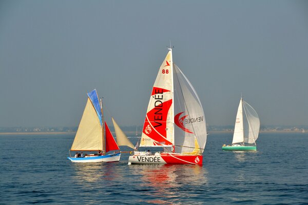 Yacht Regatta Himmel Meer Segel