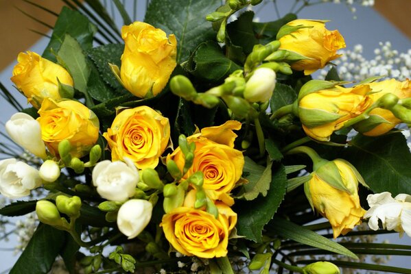 Bouquet of yellow and white roses