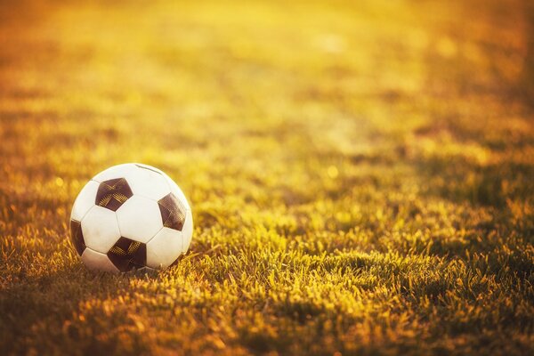 Pallone da calcio sul prato