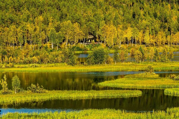 Flusslandschaft in Nordnorwegen