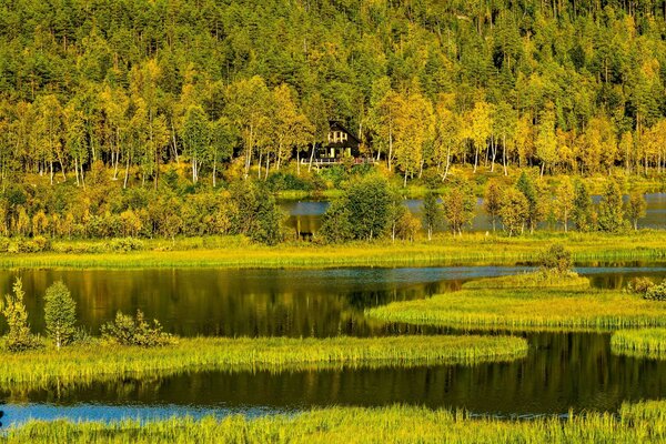 Paysage de rivière en Norvège du Nord