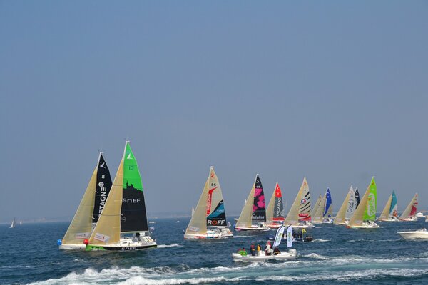 Race of colored sailboats in the sea