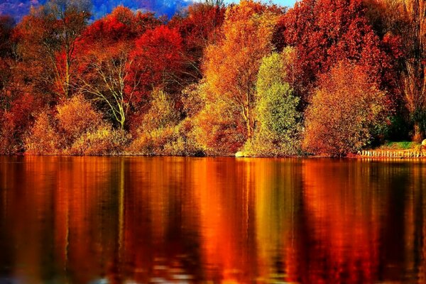 Purpurroter Wald mit Blendung auf dem Wasser