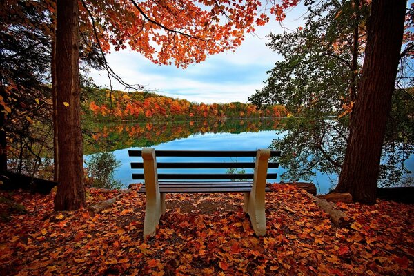 Banc sur le rivage. Automne. Eau