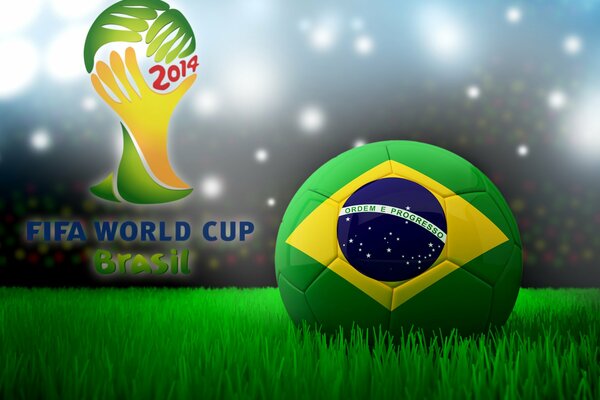 Ballon de football avec le logo de l équipe brésilienne