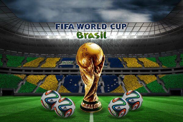 2014 FIFA World Cup