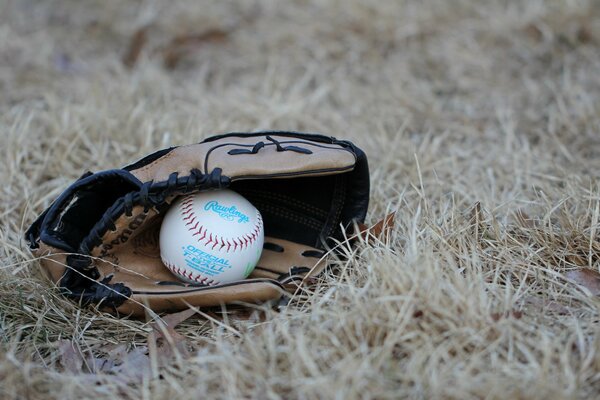 Ein Baseballhandschuh und ein Ball liegen auf dem Rasen