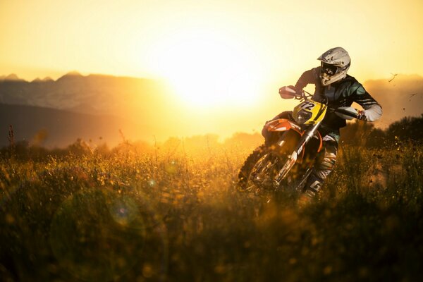 Motorradfahrer bei Sonnenuntergang, Feld bei Sonnenuntergang, Motorradsport, springendes Motorrad