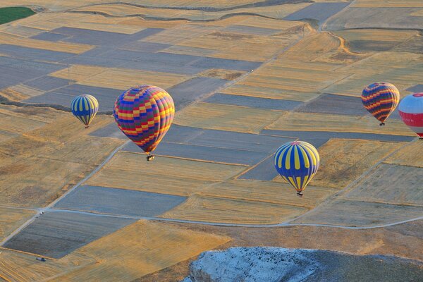 Balloons on the background of a beautiful field