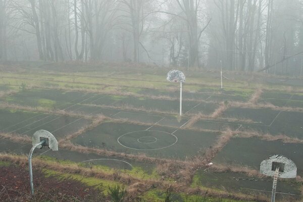 Terrain de basket-ball sportif dans le brouillard