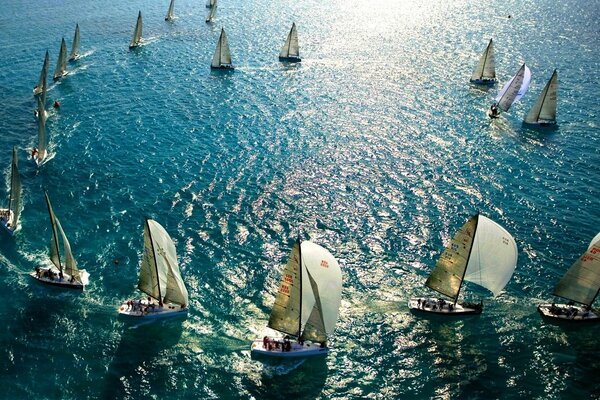 Unglaublich schönes blaues Meer und viele Yachten mit weißen Segeln