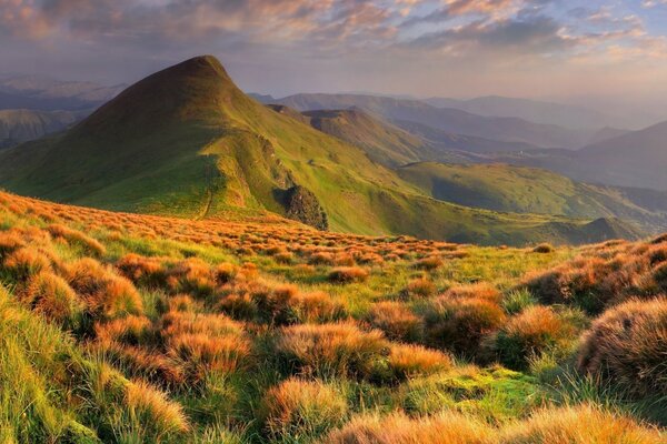 Paisaje de montaña con hierba verde