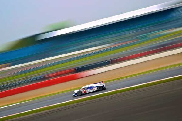 Alexander Wurz w toyota hybrid