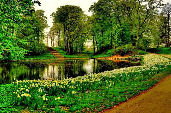 Ein sehr schöner Park mit grünem Gras und Bäumen