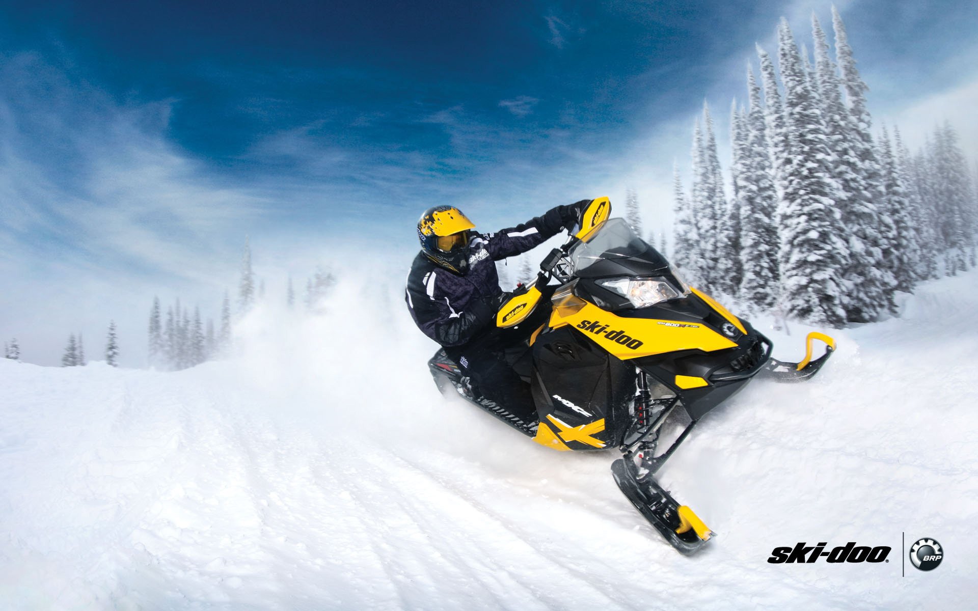 ki-doo snowmobile mxz brp snow forest sport