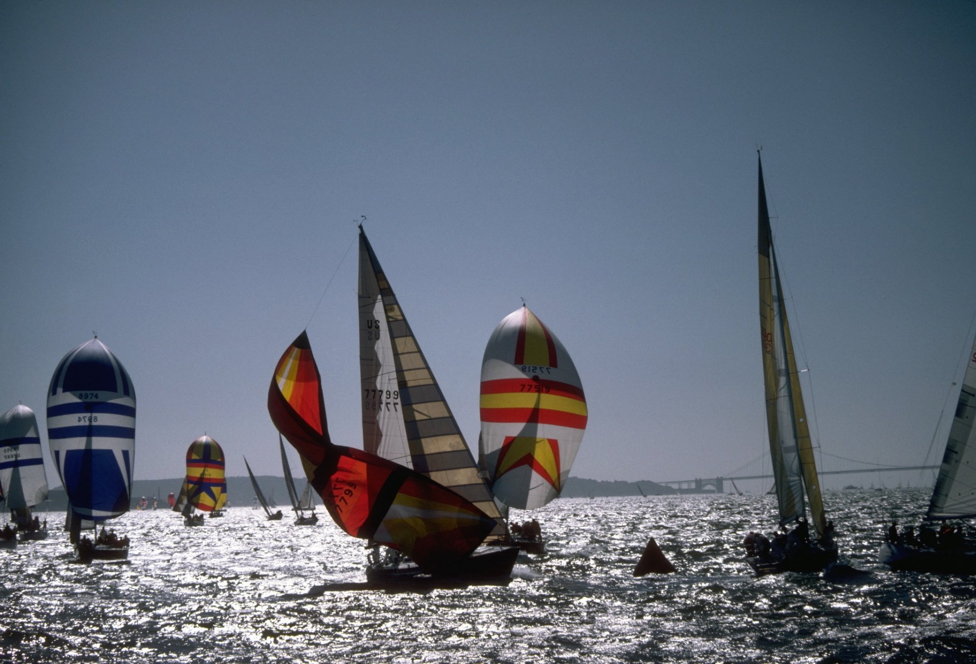 yacht sailboats sea photo